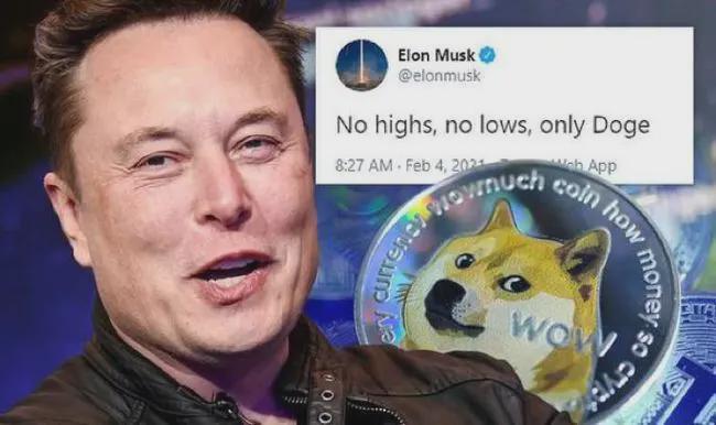 elon musk_狗狗币 elon musk_elon musk 视频